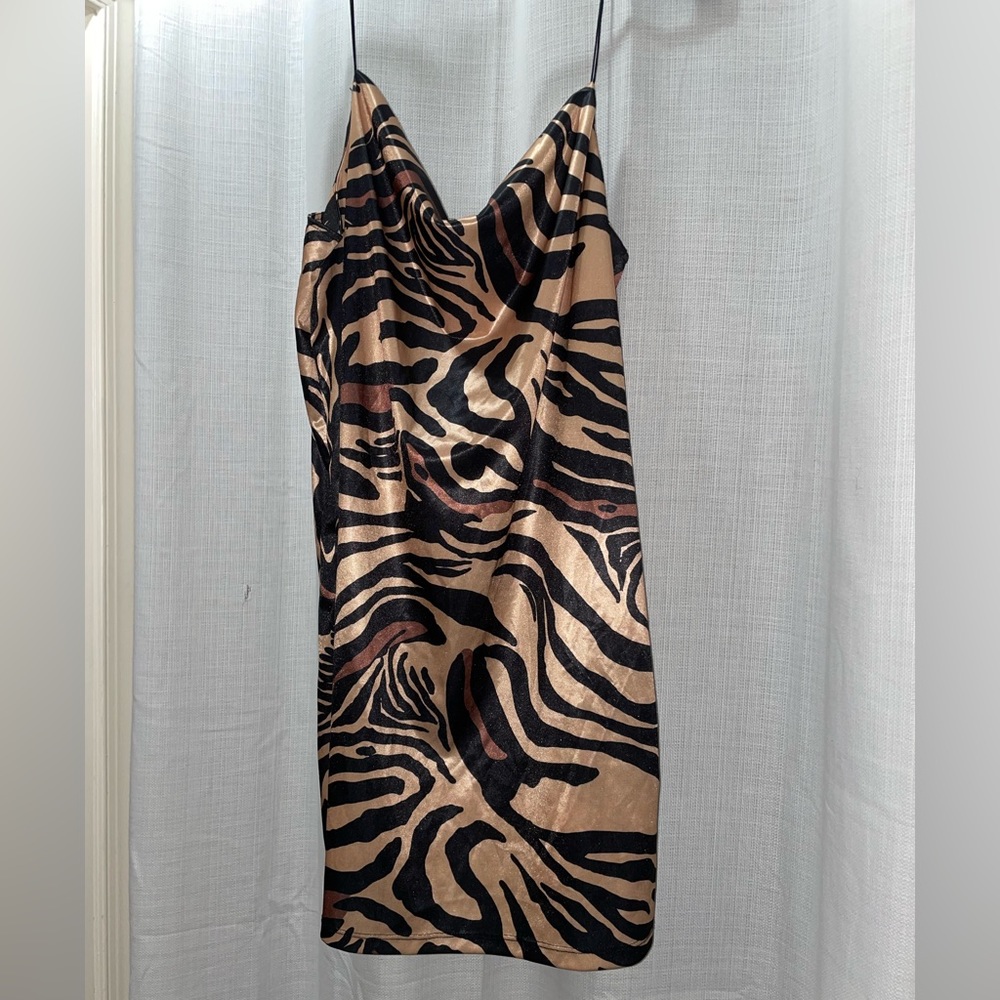 Zara dress